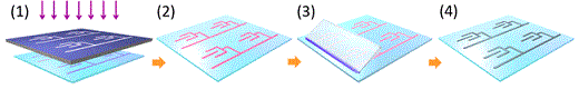 （1）紫外光のマスク露光、（2）反応性表面の潜像形成、 （3）銀ナノインクのブレードコーティング、（4）銀配線パターンの形成。