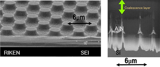 加工Si基板（PSiS）の鳥瞰写真（左）とPSiS上窒化アルミニウム（AlN）層の断面写真（右）