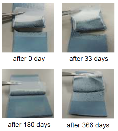 高密着性と超長寿命性の両方を実現した熱アシストプラズマ処理の効果（白：ふっ素樹脂、青：ブチルゴム）：プラズマ処理してから1年後にくっつけてもゴムが材料破壊