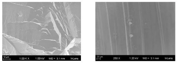 SJevaの溶解前（左）と溶解後（右）のSEM写真