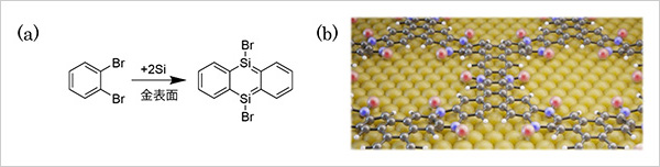(a) 本研究で開発した表面化学反応。(b) 合成したケイ素を含むCOF膜の概略図。Br : 臭素原子 (赤球) 、Si : ケイ素原子 (紫球) 、炭素原子 (黒球) 、水素原子 (白球) 、基板の金原子 (金球) 